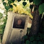 ダンディゾン - 