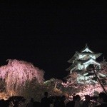 成田専蔵珈琲店 - 弘前城の夜桜(2)