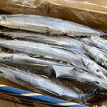 さんまのヤマホン - さんま干しを冷凍で売ってます♪