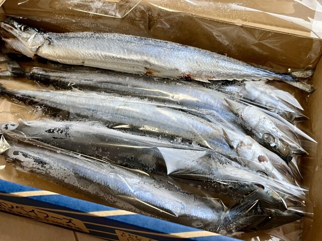 さんまのヤマホン 女川ハマテラス店 - 女川（売店）の写真