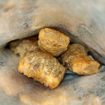 にんべん - 料理写真: