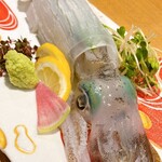 呼子活イカ 博多巻き串 燈 - 