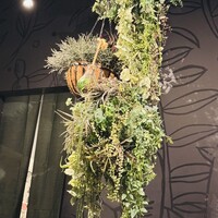 W Yokohama The Wine Hall - 