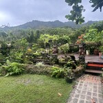 沖縄そば 森の家 - 