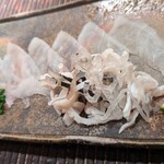 豊後もん 江とう - 