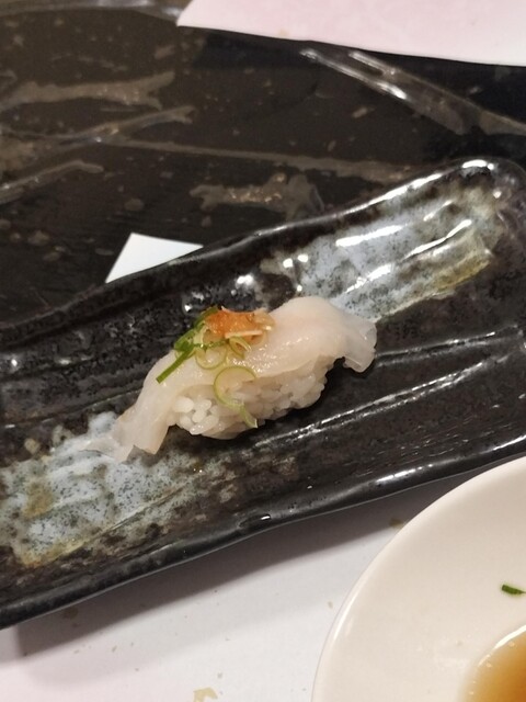 Hikari Zushi