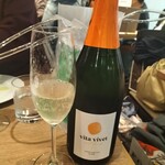 LIZARRAN - ■ビタ・ビベット　ブルット　ボトル　3130ｘ4？