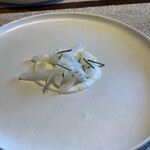 COLTa - 北海道産アオリイカ　磯沼さんヨーグルト・豆腐