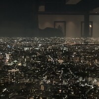ジンジャーズビーチ サンシャイン - 