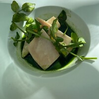 TRATTORIA CREATTA - 