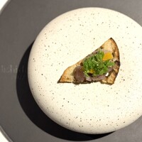 ニシデリア - ・泉南 鯵