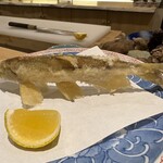 天婦羅割烹 すみ - 本シシャモ(雄)