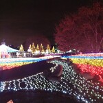 やっちろ - 木曽三川公園イルミネーション