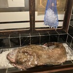 いせ源 - 店の入り口でアンコウがお出迎え