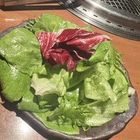 生粋 - 