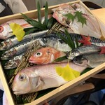 炭火焼き 路地裏かど - 