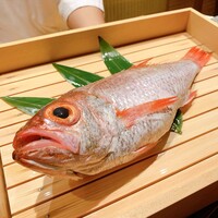 のどぐろ専門 銀座中俣 極 - 