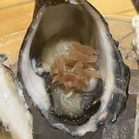 四ツ橋・新町 牡蠣と肉たらしビストロAKIRA - 