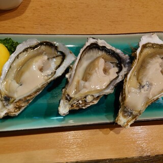 味処居酒屋 野はら_0