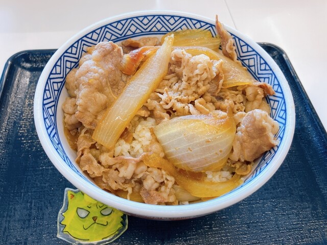 有田焼 どんぶり 特盛 吉野家 どんぶり 有田焼 特盛、大盛 丼 有田焼