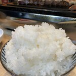 北新地焼肉さつま - 大ごはん