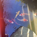 とうふ屋うかい - 