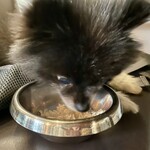 アネアカフェ - 