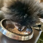 アネアカフェ - 