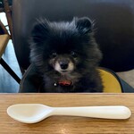 アネアカフェ - 