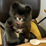 アネアカフェ - 