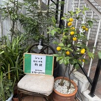 ラ・ブランシュ - 