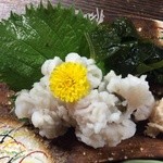 Kuidouraku Yattenya - 活〆はもあらい