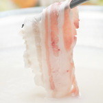 山盛り豚ねぎしゃぶ＜1人前＞