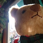 ラルフズ コーヒー - 