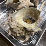 浜焼活貝 いさむ - サザエ　アップ