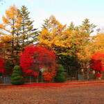 Au Depart Cinq fers - 近くの紅葉