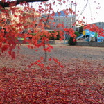 Au Depart Cinq fers - 近くの公園の紅葉