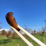 大野屋 - 大野屋　椎茸煮リフト