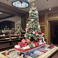 スプレンディード - 