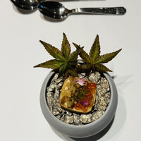 イリエスケープ - 