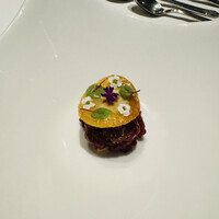 イリエスケープ - 