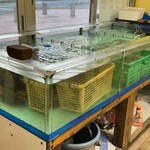 焼貝いろは - 伊勢海老さんはこの水槽で平和に暮らしていました。