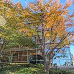 クッチーナカフェ オリーヴァ - お店の入ってるビル外観（東側より）