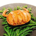 レストラン オオツ - 