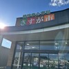 掛川さすが市