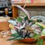 魚肉菜 座頭 道安 - メイン写真: