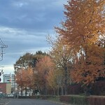 インデアンレストラン  ニューミラ - 内側の通り、吾妻中学の脇を通って帰る