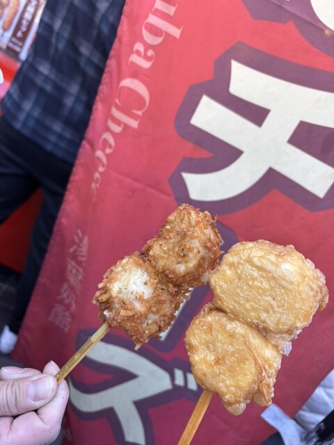 Kyoto Arashiyama Yuba Cheese Honpo Hon Ten