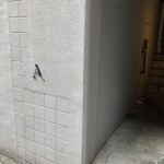 アントシカダ - 