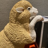 金山成吉思汗 - 